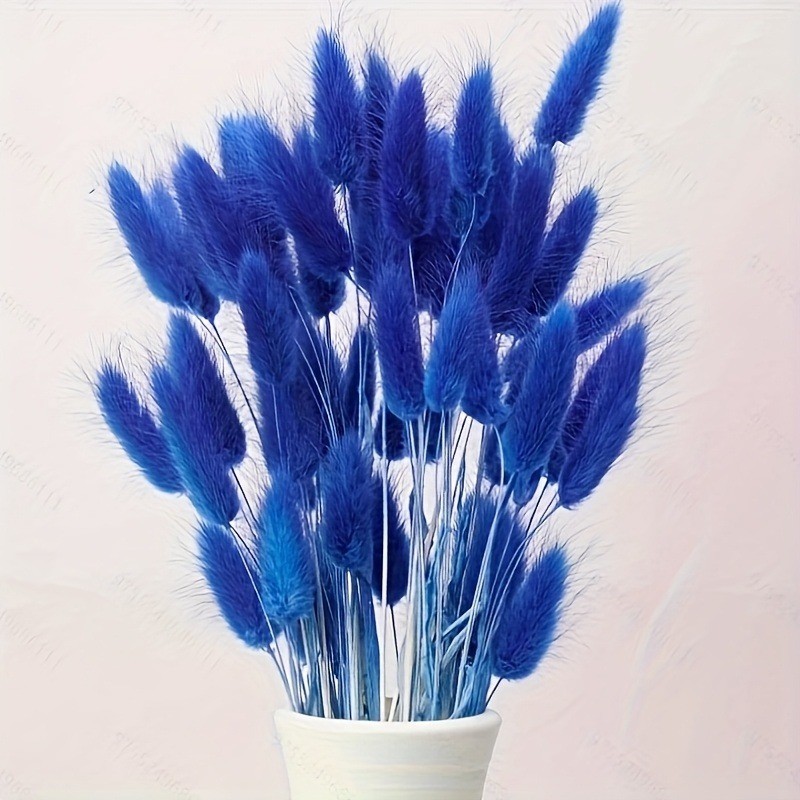 Dried Flower Bunch - Imitation Rabbit Tails Grass Dried Flowers