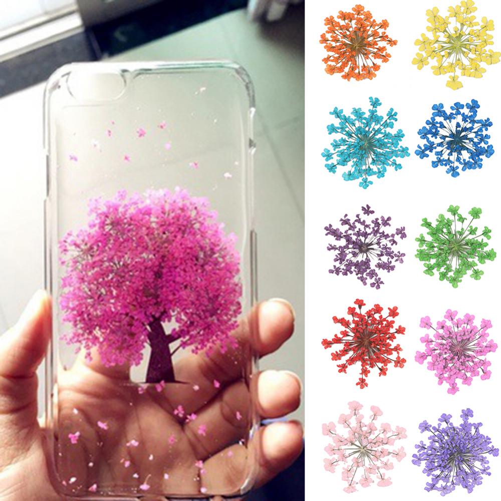 Dried Flower Bunch - 100Pcs Natural Plant Dried Flower Pressed