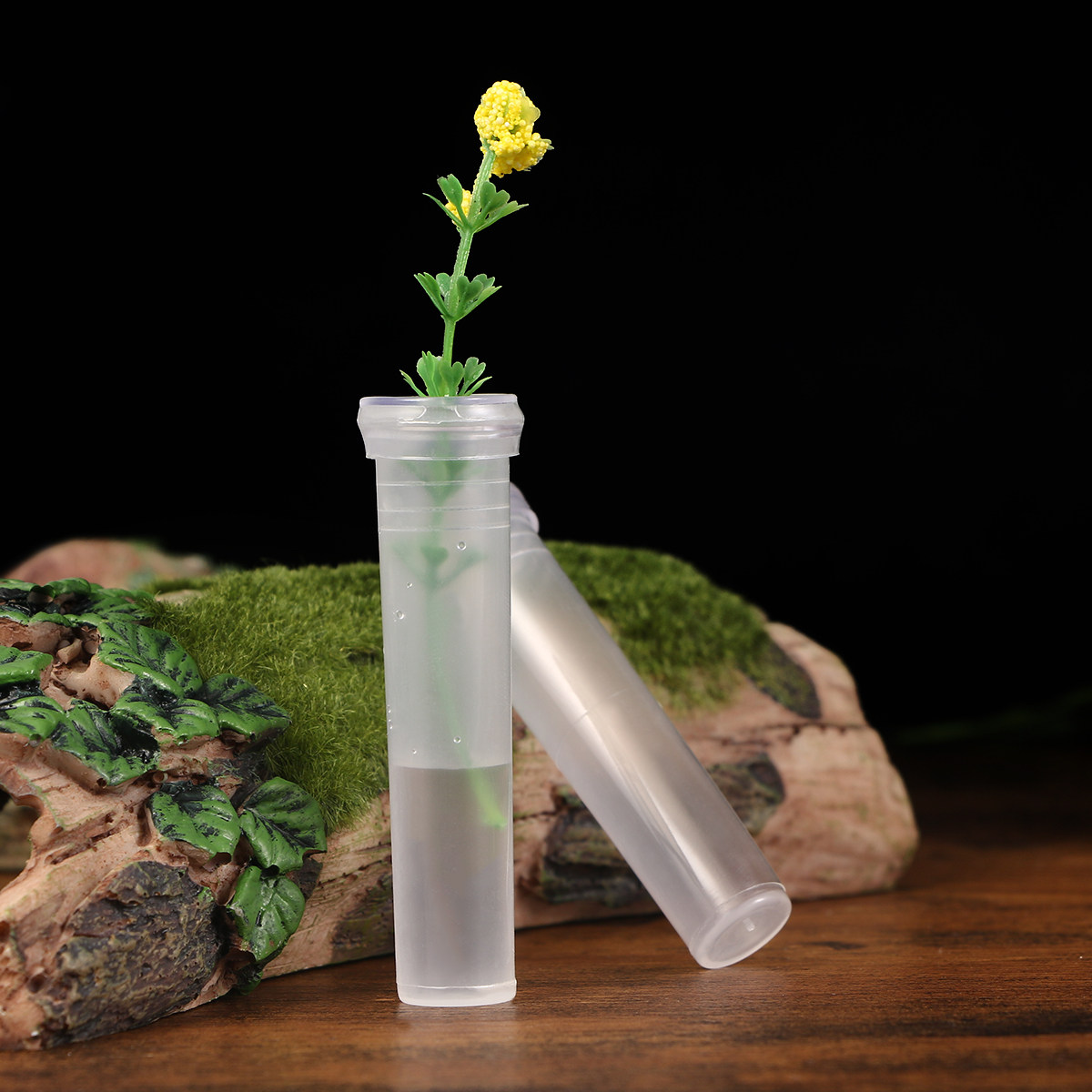 Supply For Florist - 50Pcs Premium Plastic Flower Nutrition Tubes