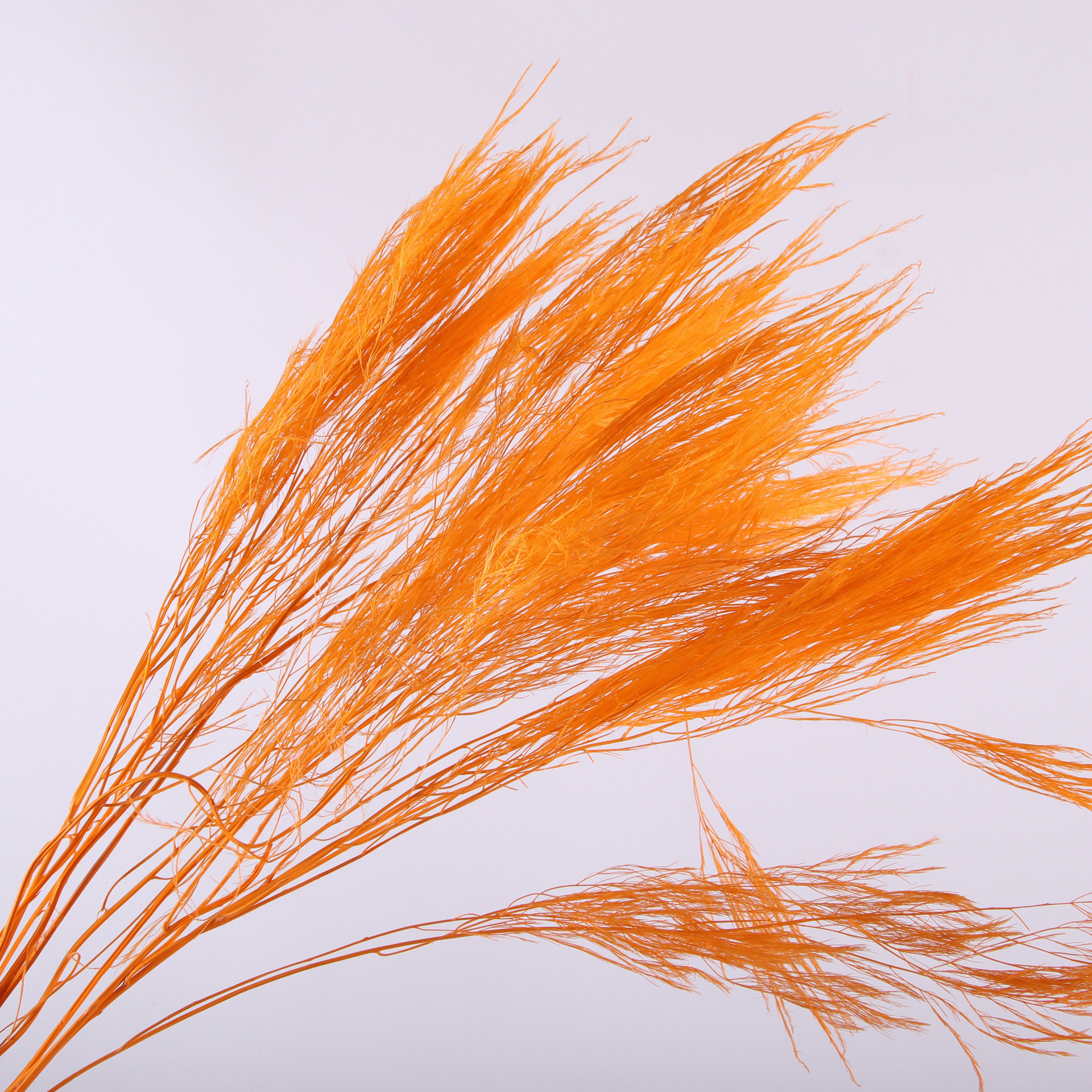 Dried Flower Bunch - 10pcs/bunch Dried Flower Bouquet Preserved Flowers