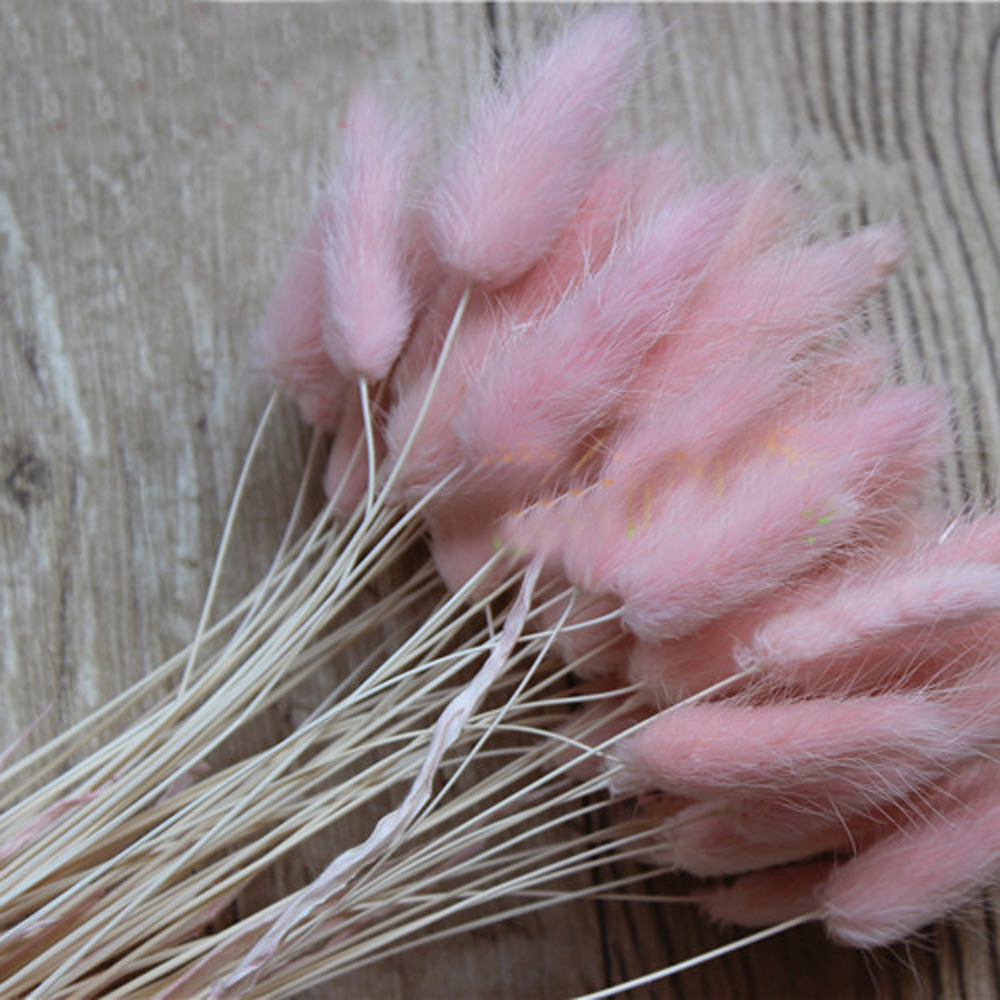 50pcs dried natural flower bou - Dried Flower Bunch 리뷰 및 가격
