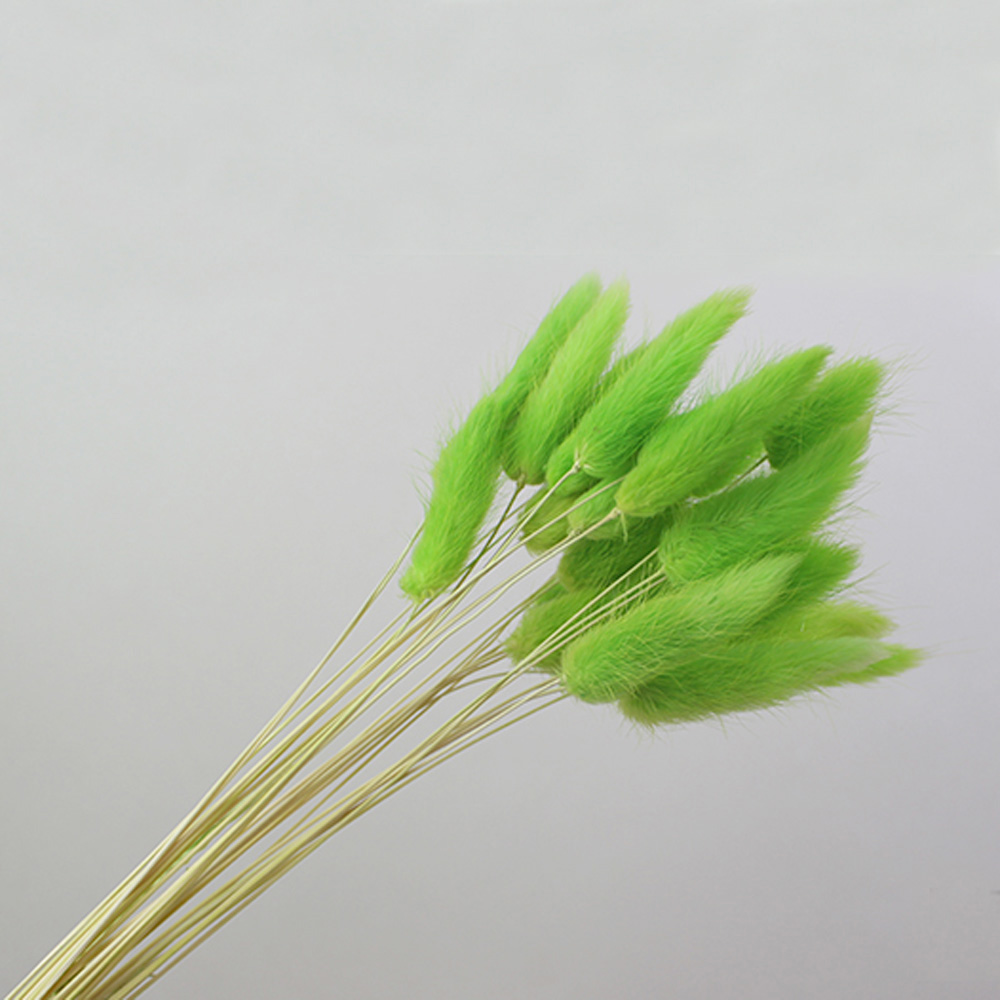 50pcs dried natural flower bou - Dried Flower Bunch 리뷰 및 가격