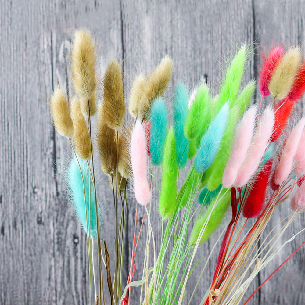 50pcs dried natural flower bou - Dried Flower Bunch 리뷰 및 가격