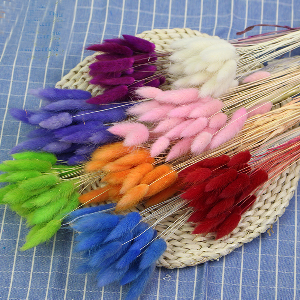 50pcs dried natural flower bou - Dried Flower Bunch 리뷰 및 가격