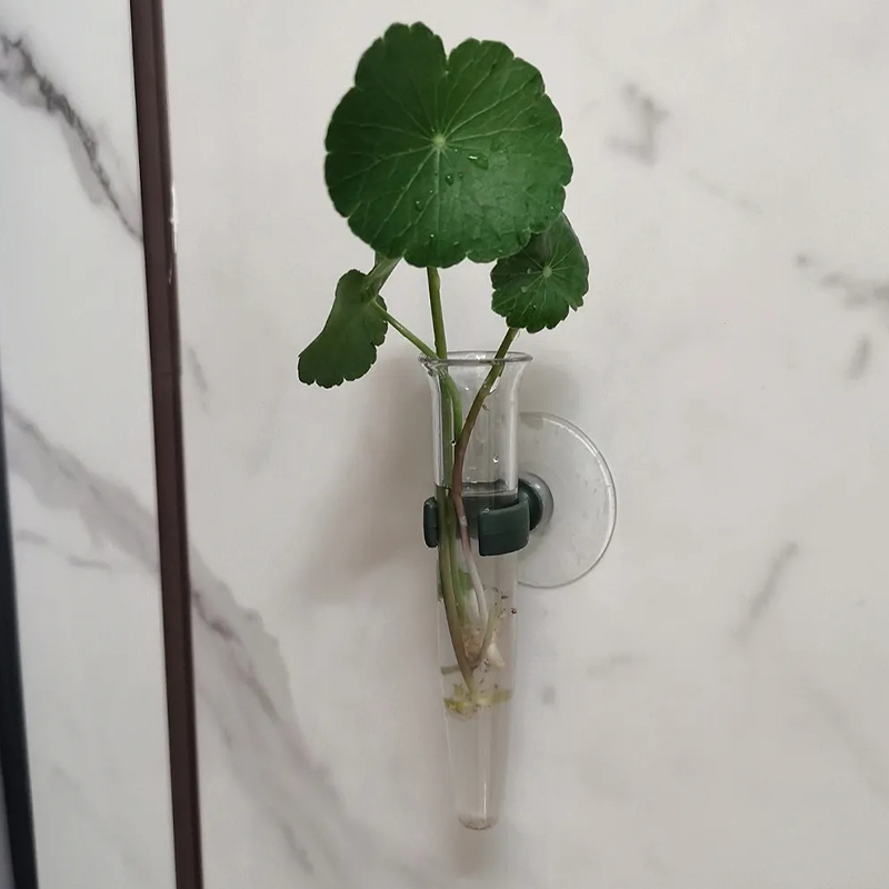 11cm Floral Water Tubes Plasti - Supply For Florist 리뷰 및 가격