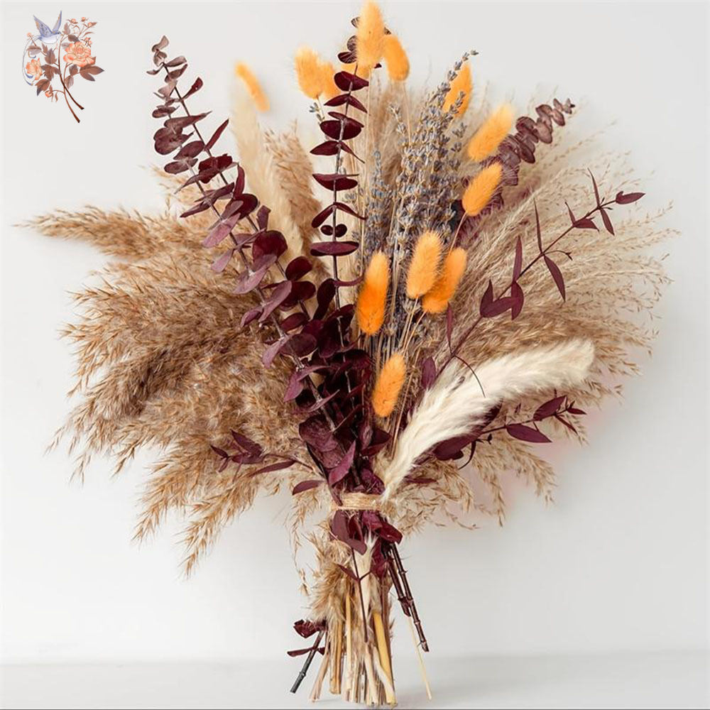 75PCS Dried Pampas Eucalyptus  - Dried Flower Bunch 리뷰 및 가격