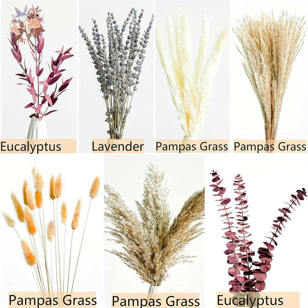 75PCS Dried Pampas Eucalyptus  - Dried Flower Bunch 리뷰 및 가격