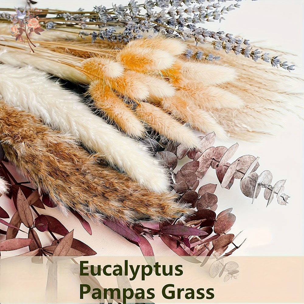 75PCS Dried Pampas Eucalyptus  - Dried Flower Bunch 리뷰 및 가격