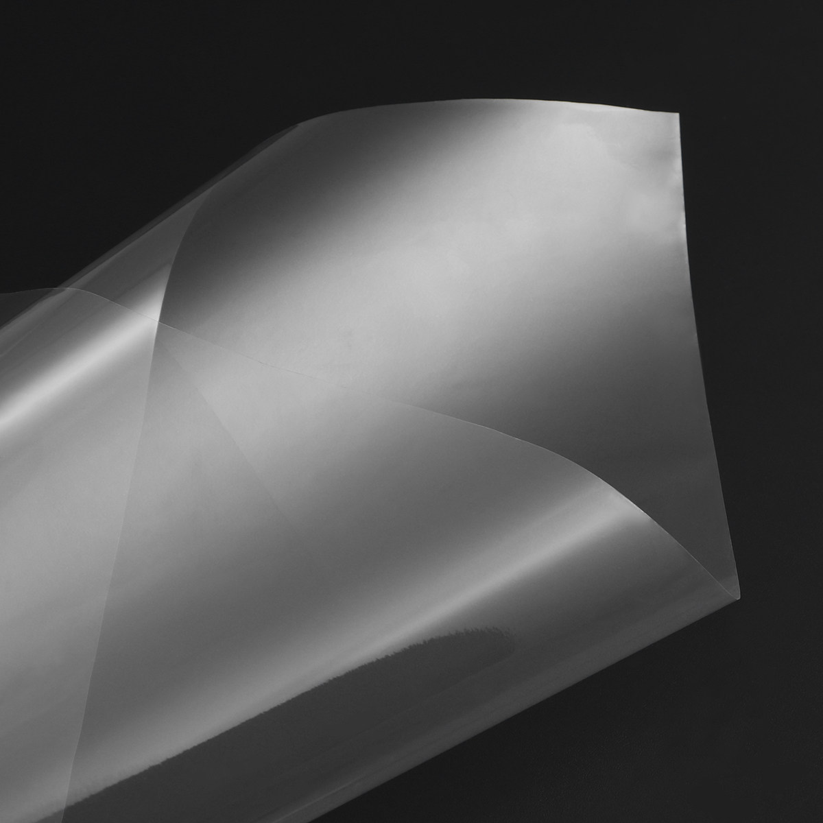 10M X 54Cm Clear Cellophane Wr - Cellophane Wrap Clear 리뷰 및 가격