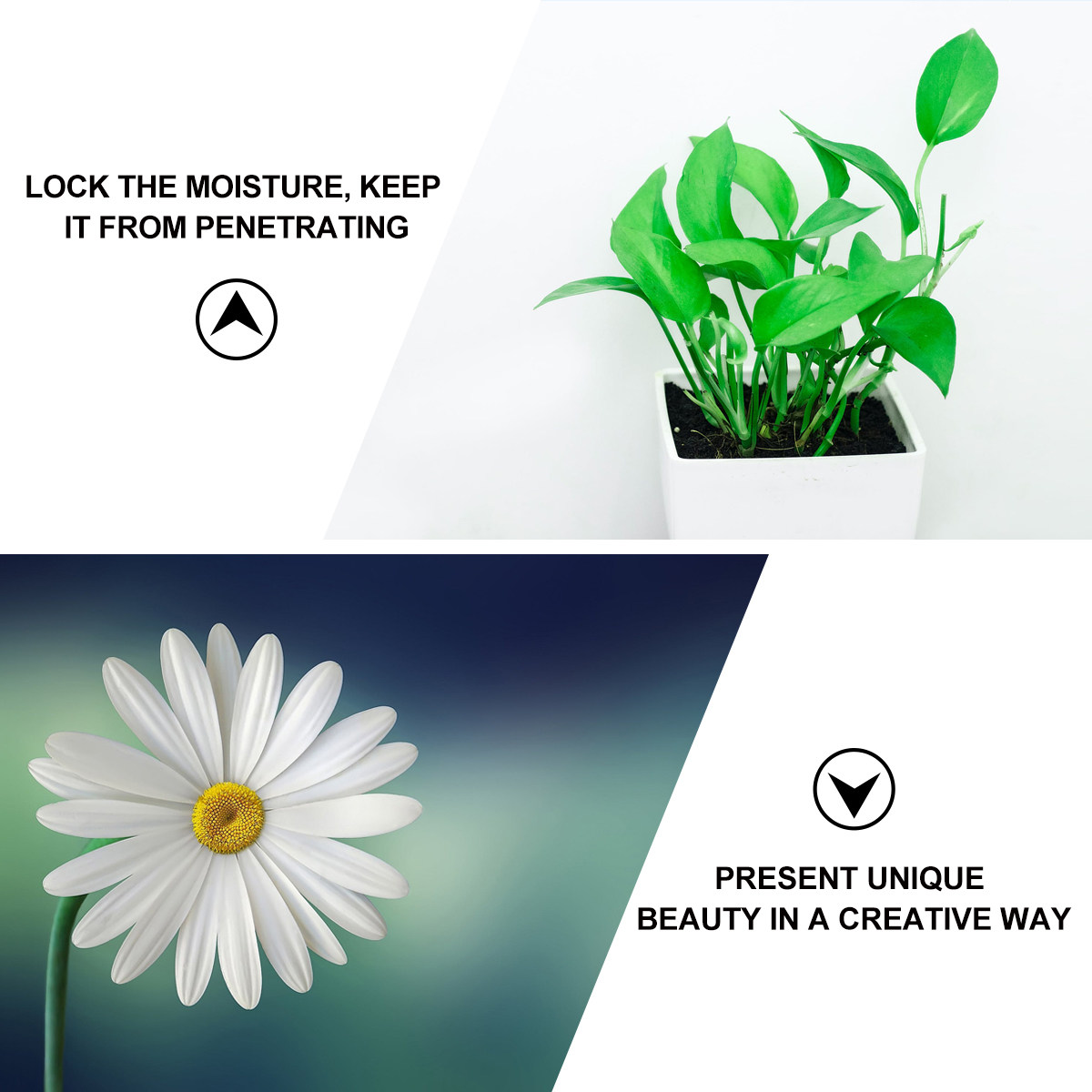 50Pcs Flower Water Tube Essent - Supply For Florist 리뷰 및 가격