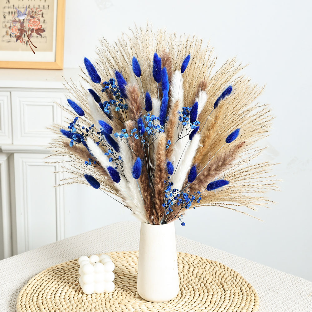 70 Stem Blue Fluffly Rabbit Ta - Dried Flower Bunch 리뷰 및 가격