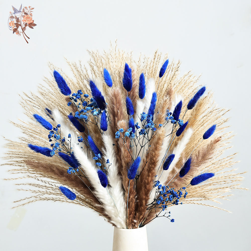 70 Stem Blue Fluffly Rabbit Ta - Dried Flower Bunch 리뷰 및 가격