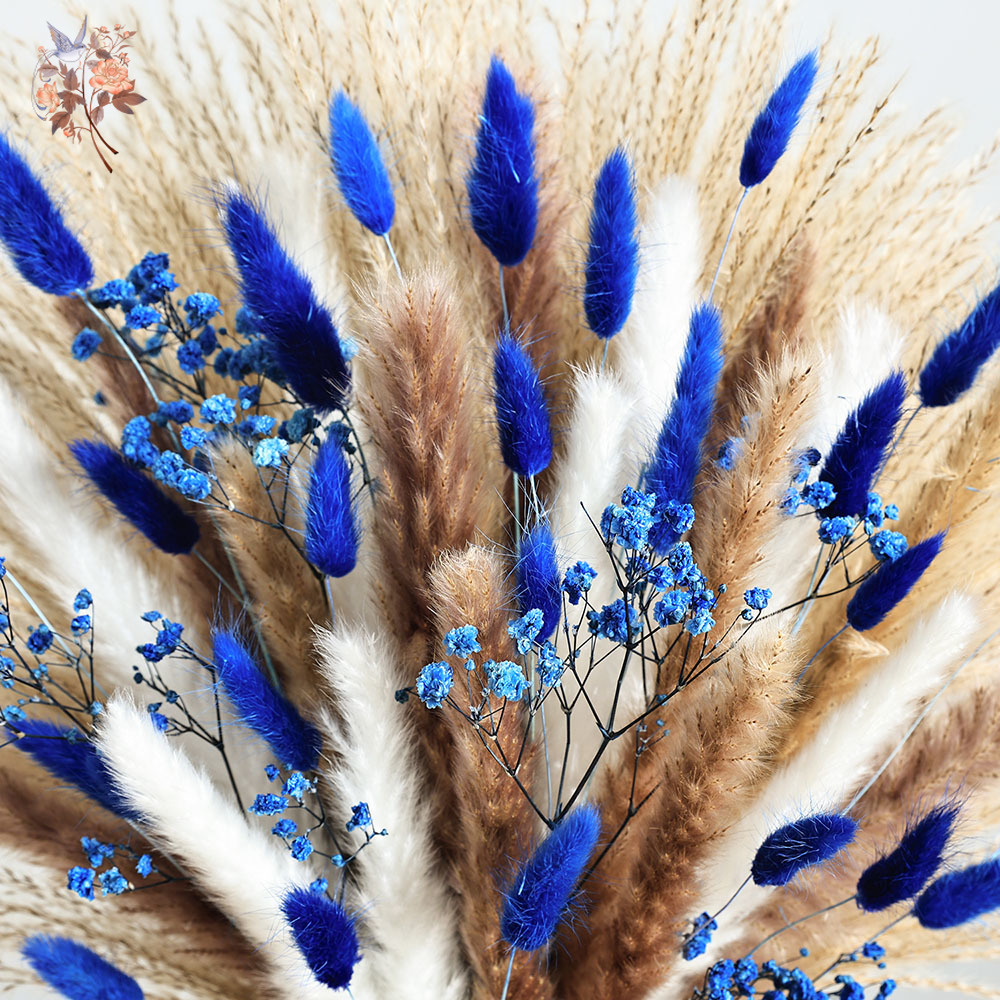 70 Stem Blue Fluffly Rabbit Ta - Dried Flower Bunch 리뷰 및 가격