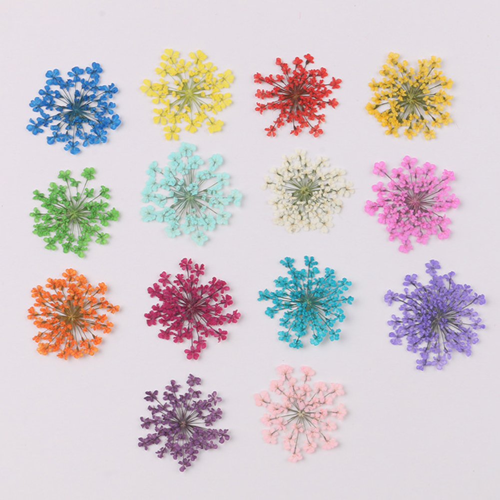 100Pcs Natural Plant Dried Flo - Dried Flower Bunch 리뷰 및 가격