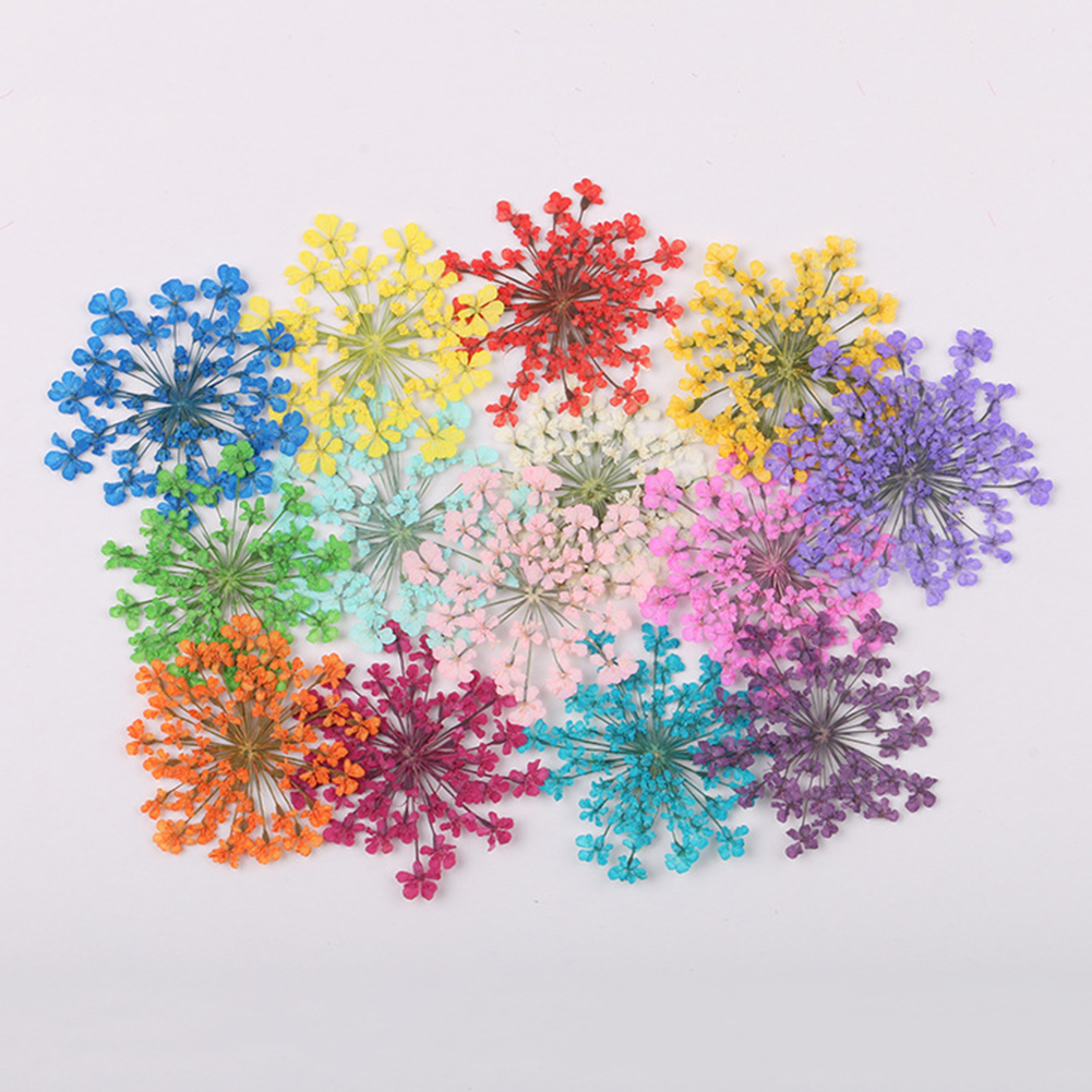 100Pcs Natural Plant Dried Flo - Dried Flower Bunch 리뷰 및 가격