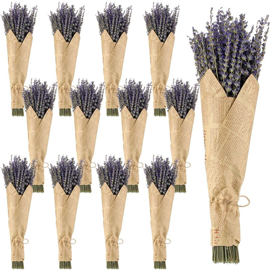 12 Pack Total 2280 Stems Dried - Dried Flower Bunch 리뷰 및 가격