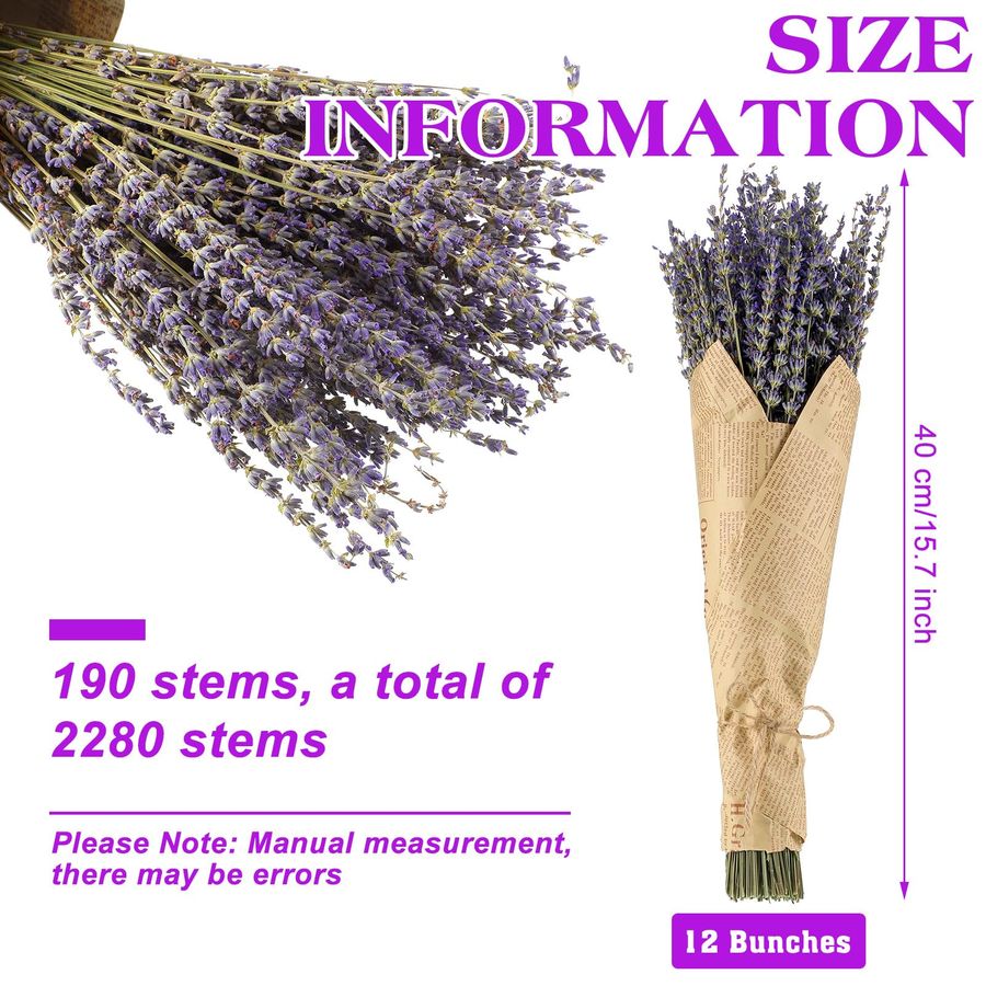 12 Pack Total 2280 Stems Dried - Dried Flower Bunch 리뷰 및 가격