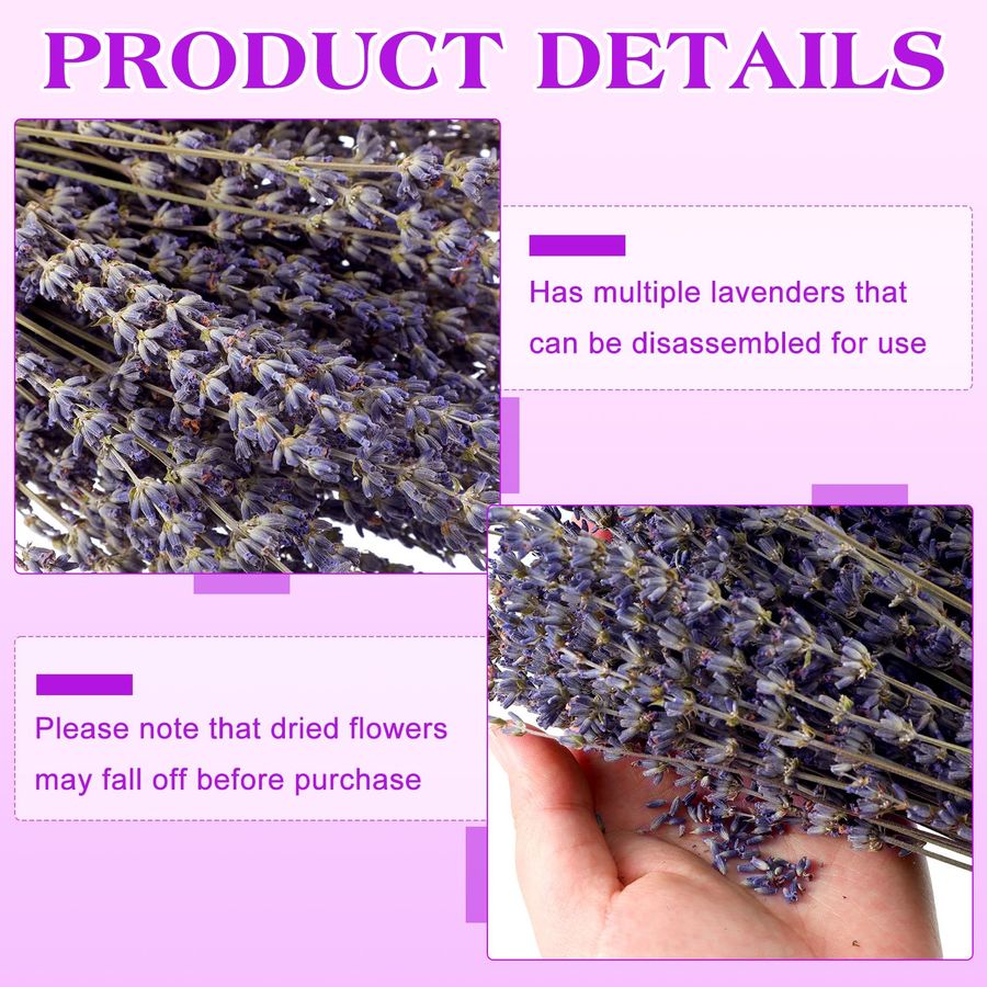 12 Pack Total 2280 Stems Dried - Dried Flower Bunch 리뷰 및 가격