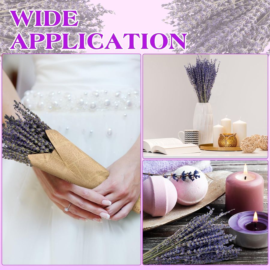 12 Pack Total 2280 Stems Dried - Dried Flower Bunch 리뷰 및 가격