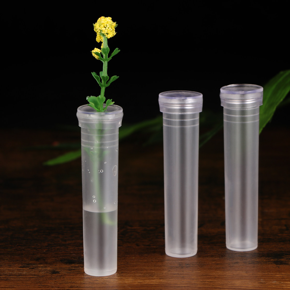 50Pcs Premium Plastic Flower N - Supply For Florist 리뷰 및 가격