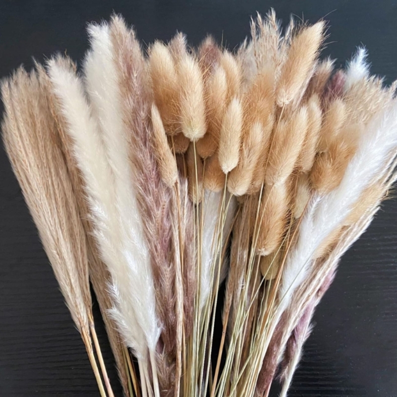 Bulk 100PCS Dried Pampas Grass - Dried Flower Bunch 리뷰 및 가격
