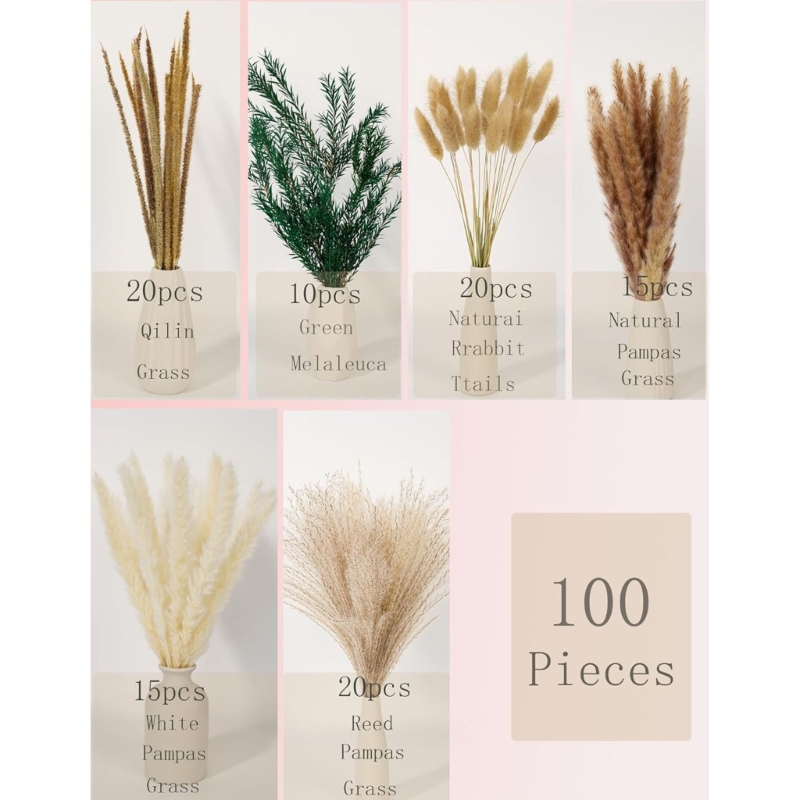Bulk 100PCS Dried Pampas Grass - Dried Flower Bunch 리뷰 및 가격