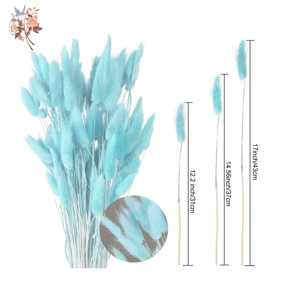 100Pcs Natural Rabbit Tails Gr - Dried Flower Bunch 리뷰 및 가격