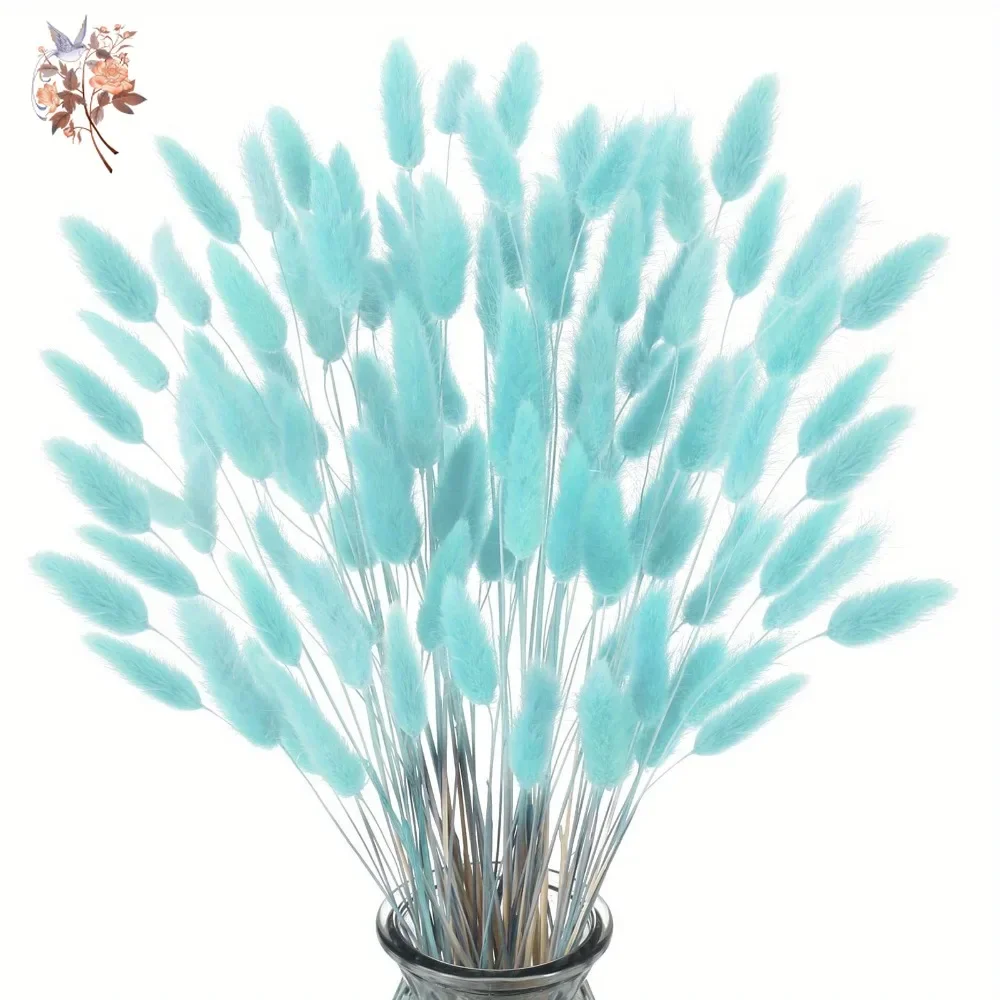 100Pcs Natural Rabbit Tails Gr - Dried Flower Bunch 리뷰 및 가격