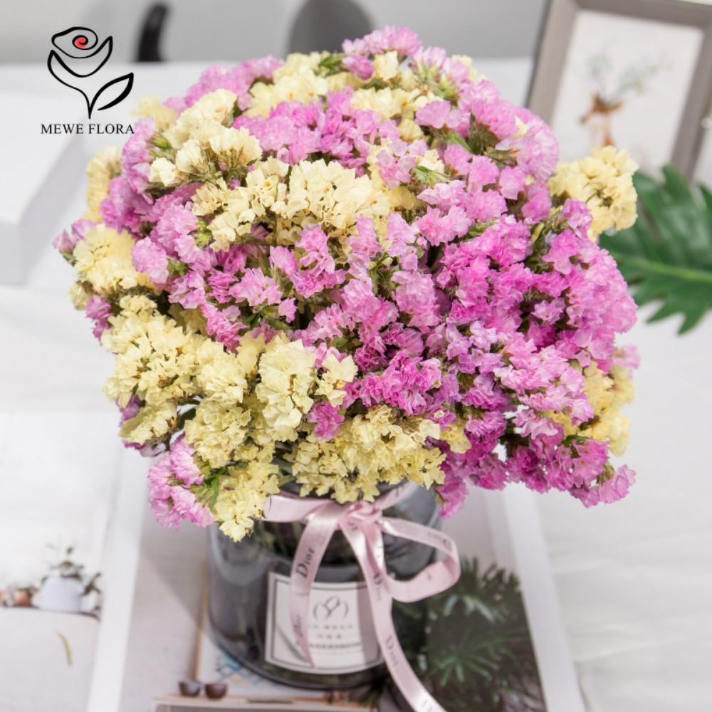 100g Dried Forget Me Not Flowe - Dried Flower Bunch 리뷰 및 가격