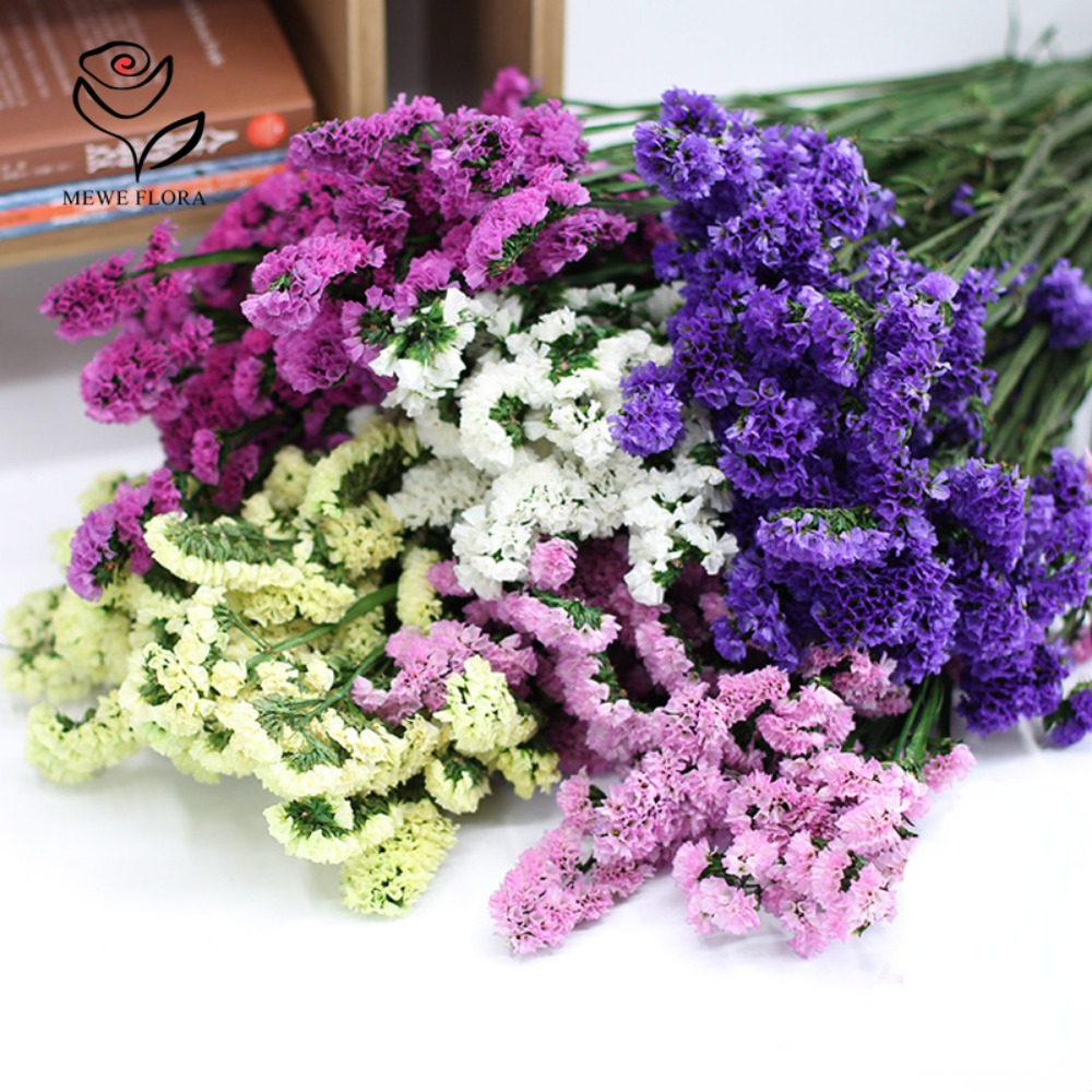 100g Dried Forget Me Not Flowe - Dried Flower Bunch 리뷰 및 가격