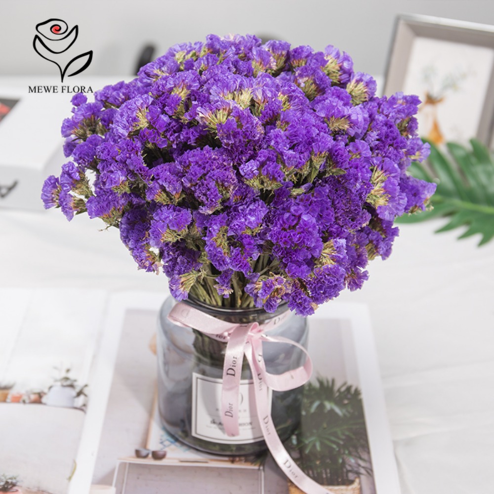 100g Dried Forget Me Not Flowe - Dried Flower Bunch 리뷰 및 가격