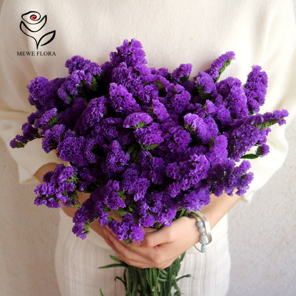 100g Dried Forget Me Not Flowe - Dried Flower Bunch 리뷰 및 가격