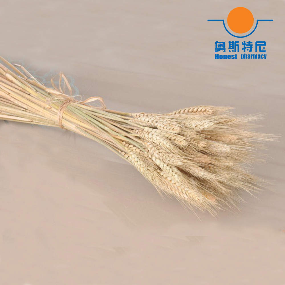50pcs natural dried flower bou - Dried Flower Bunch 리뷰 및 가격