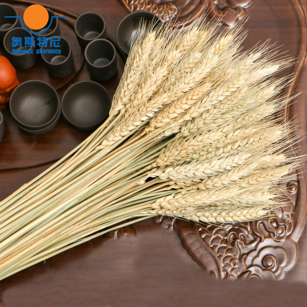 50pcs natural dried flower bou - Dried Flower Bunch 리뷰 및 가격