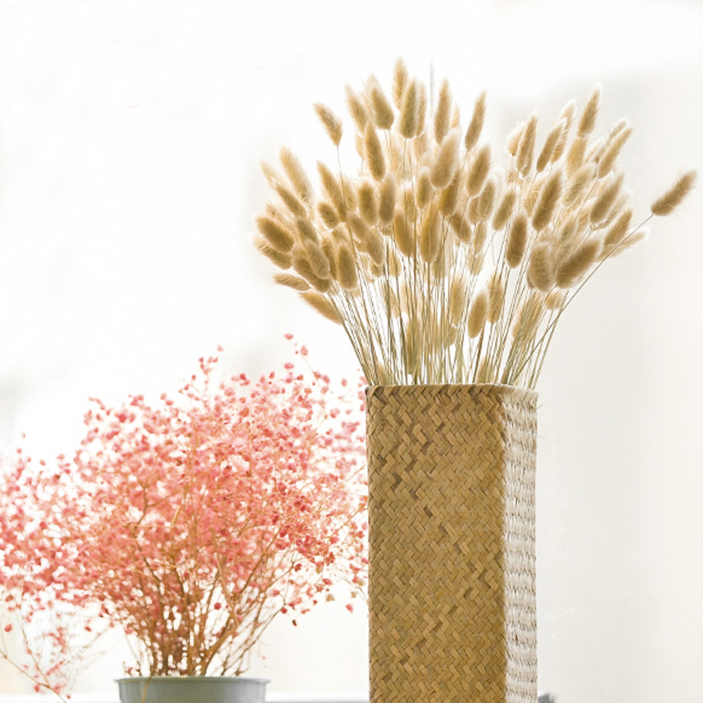 200pcs natural dried Lagurus o - Dried Flower Bunch 리뷰 및 가격