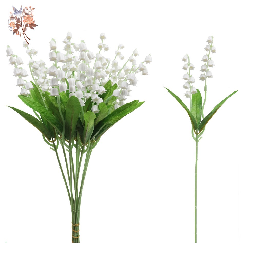 White Lily of The Valley 10Pcs - Dried Flower Bunch 리뷰 및 가격