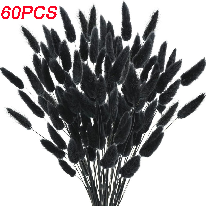 Natural Rabbit Tails Grass Dri - Dried Flower Bunch 리뷰 및 가격
