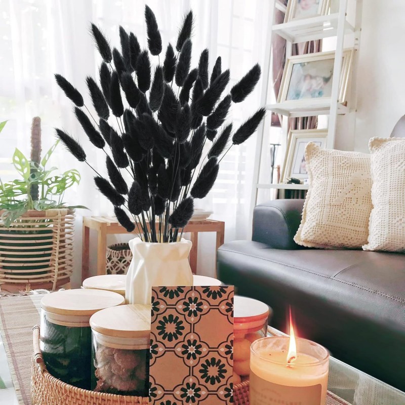 Natural Rabbit Tails Grass Dri - Dried Flower Bunch 리뷰 및 가격