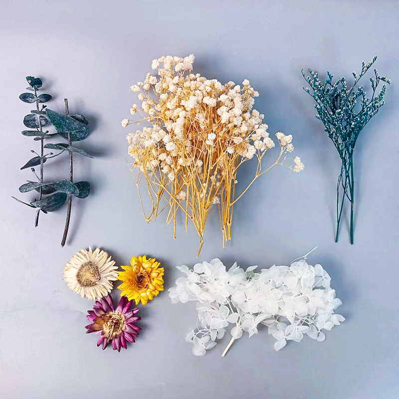 1pack Multifarious Dried Flowe - Dried Flower Bunch 리뷰 및 가격