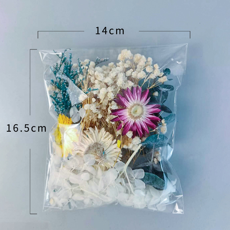 1pack Multifarious Dried Flowe - Dried Flower Bunch 리뷰 및 가격