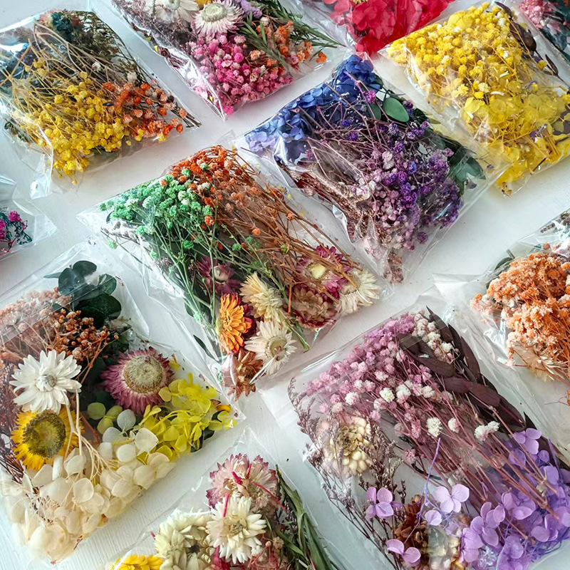 1pack Multifarious Dried Flowe - Dried Flower Bunch 리뷰 및 가격