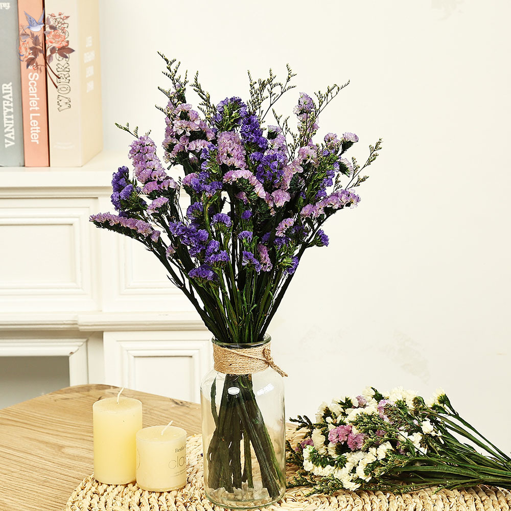 100g Natural Real Forget-me-no - Dried Flower Bunch 리뷰 및 가격