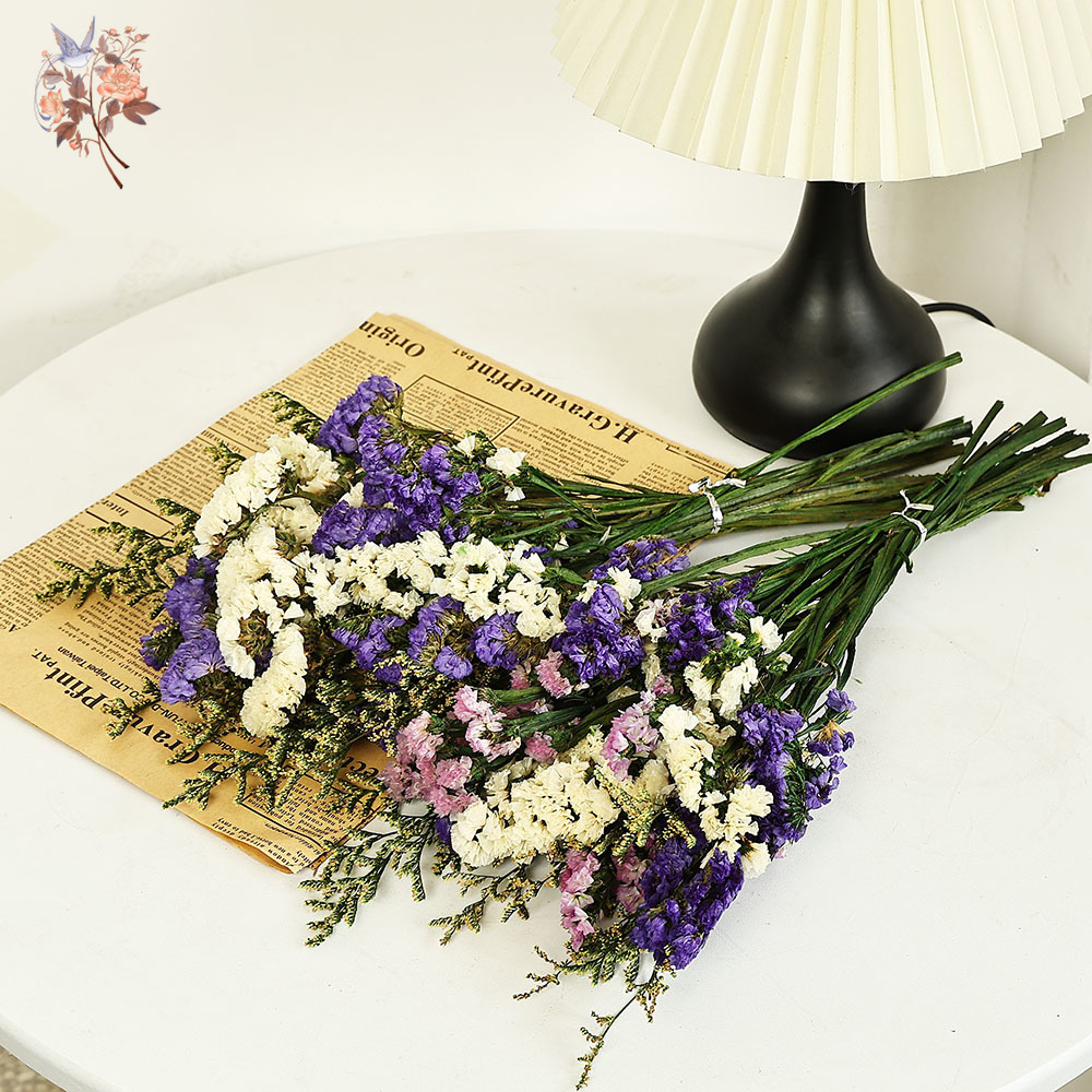 100g Natural Real Forget-me-no - Dried Flower Bunch 리뷰 및 가격