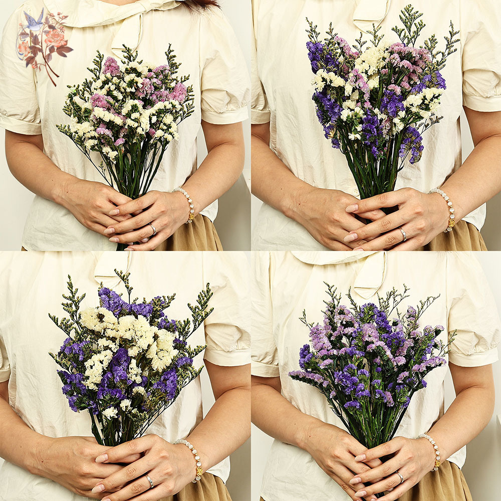 100g Natural Real Forget-me-no - Dried Flower Bunch 리뷰 및 가격
