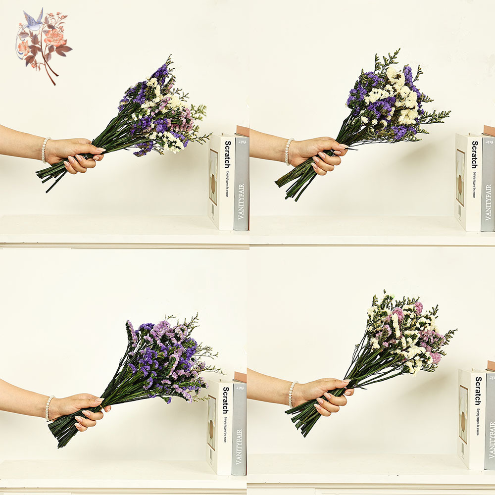 100g Natural Real Forget-me-no - Dried Flower Bunch 리뷰 및 가격