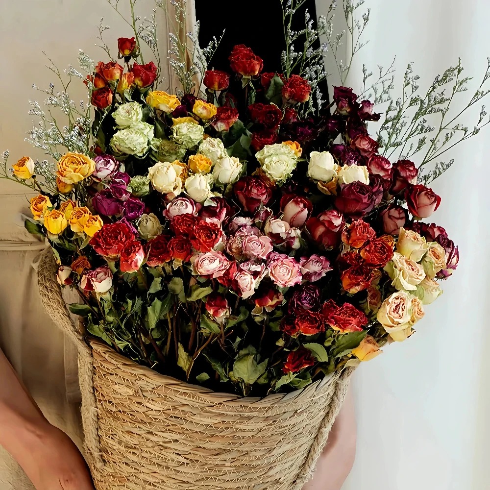 a lot Small Rose, Decorative N - Dried Flower Bunch 리뷰 및 가격