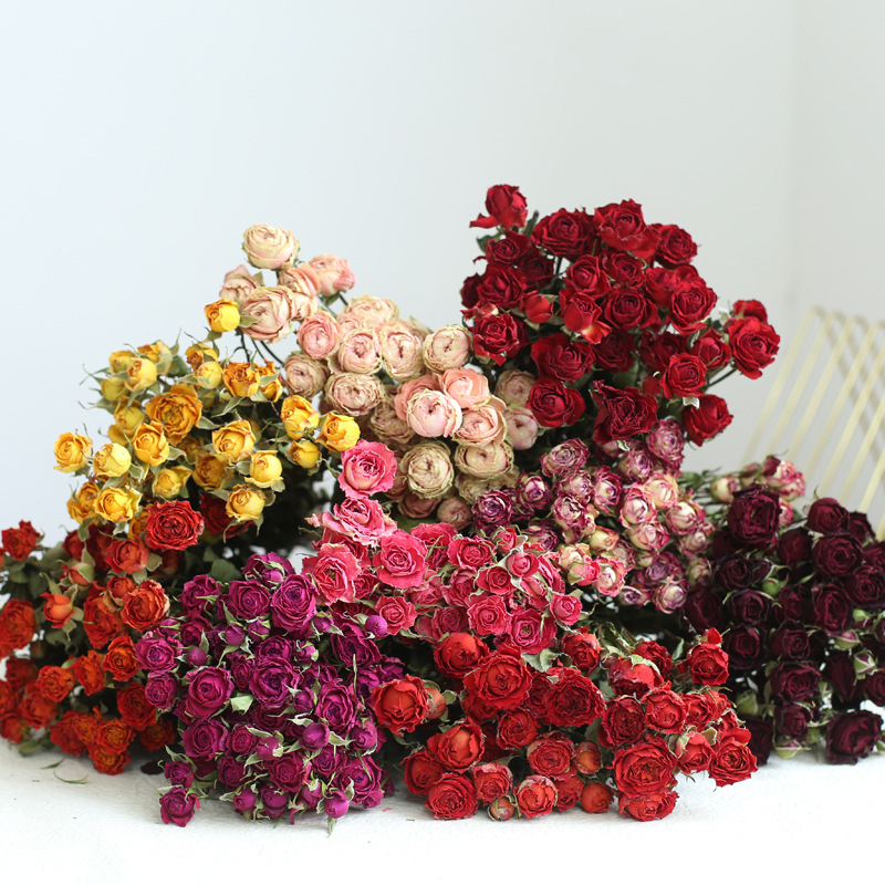 a lot Small Rose, Decorative N - Dried Flower Bunch 리뷰 및 가격