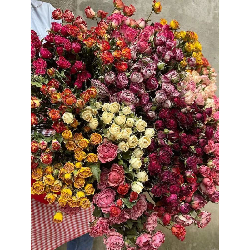 a lot Small Rose, Decorative N - Dried Flower Bunch 리뷰 및 가격
